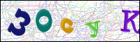 Verificación de la imagen