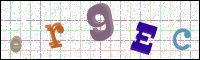 Verificación de la imagen