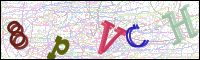 Verificación de la imagen
