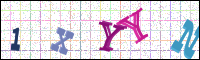 Verificación de la imagen