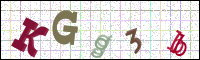 Verificación de la imagen