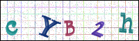 Verificación de la imagen