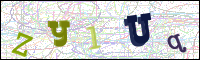 Verificación de la imagen