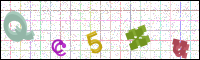 Verificación de la imagen