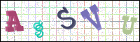 Verificación de la imagen