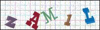 Verificación de la imagen