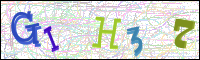 Verificación de la imagen