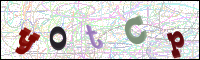 Verificación de la imagen