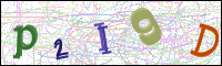 Verificación de la imagen