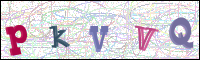 Verificación de la imagen