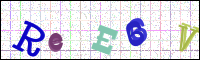 Verificación de la imagen