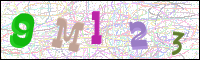 Verificación de la imagen