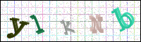 Verificación de la imagen