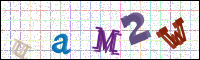 Verificación de la imagen
