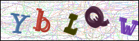 Verificación de la imagen