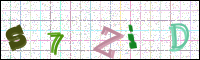 Verificación de la imagen