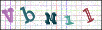 Verificación de la imagen