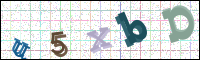 Verificación de la imagen