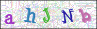 Verificación de la imagen