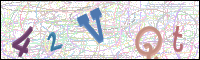 Verificación de la imagen