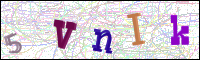 Verificación de la imagen