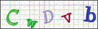 Verificación de la imagen