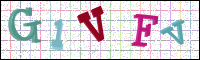 Verificación de la imagen