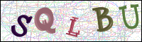 Verificación de la imagen