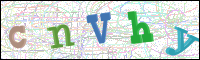 Verificación de la imagen