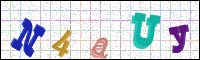 Verificación de la imagen