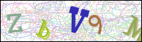 Verificación de la imagen