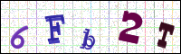 Verificación de la imagen