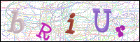 Verificación de la imagen