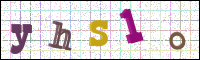 Verificación de la imagen