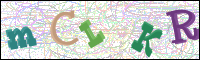 Verificación de la imagen