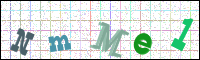 Verificación de la imagen