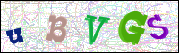 Verificación de la imagen