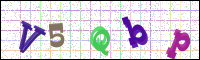 Verificación de la imagen