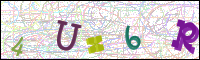 Verificación de la imagen