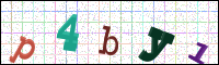 Verificación de la imagen