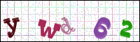 Verificación de la imagen