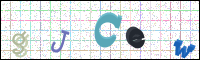 Verificación de la imagen