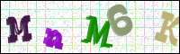 Verificación de la imagen
