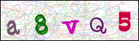 Verificación de la imagen