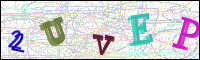 Verificación de la imagen