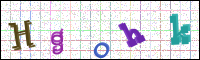 Verificación de la imagen