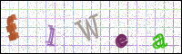 Verificación de la imagen