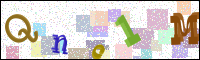Verificación de la imagen