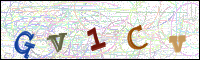 Verificación de la imagen