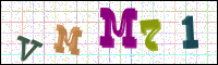Verificación de la imagen